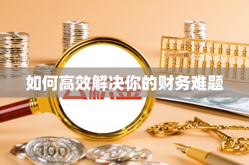 大通如何高效解决你的财务难题