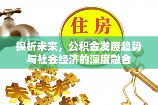 大通探析未来，公积金发展趋势与社会经济的深度融合
