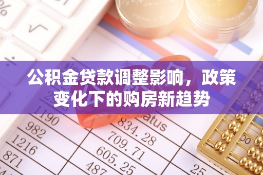 大通公积金贷款调整影响，政策变化下的购房新趋势
