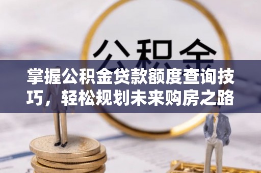 大通掌握公积金贷款额度查询技巧，轻松规划未来购房之路