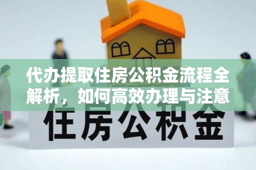 大通代办提取住房公积金流程全解析，如何高效办理与注意事项