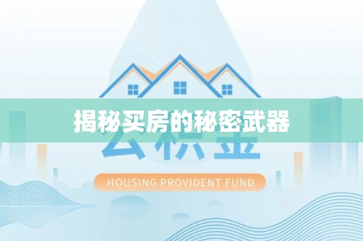大通揭秘买房的秘密武器