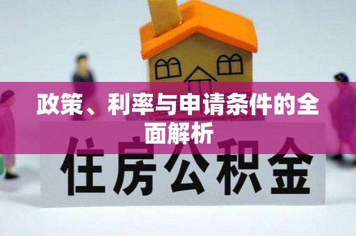 大通政策、利率与申请条件的全面解析