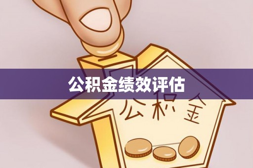 大通公积金绩效评估