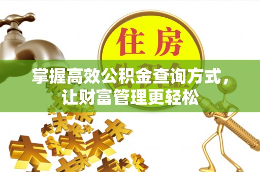 大通掌握高效公积金查询方式，让财富管理更轻松