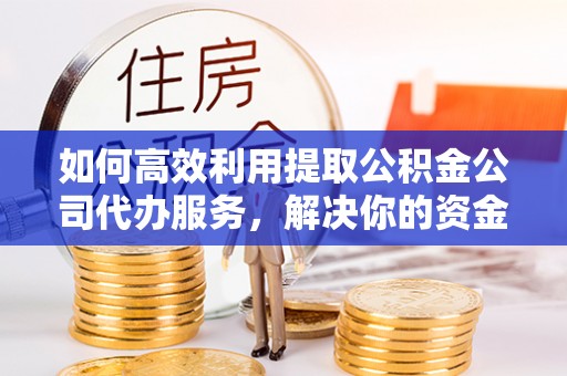 大通如何高效利用提取公积金公司代办服务，解决你的资金难题