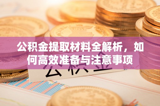 大通公积金提取材料全解析，如何高效准备与注意事项