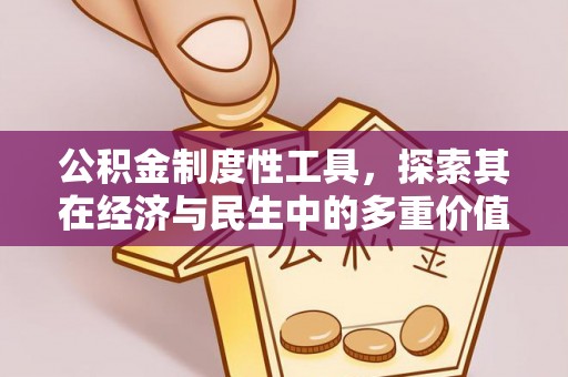 大通公积金制度性工具，探索其在经济与民生中的多重价值