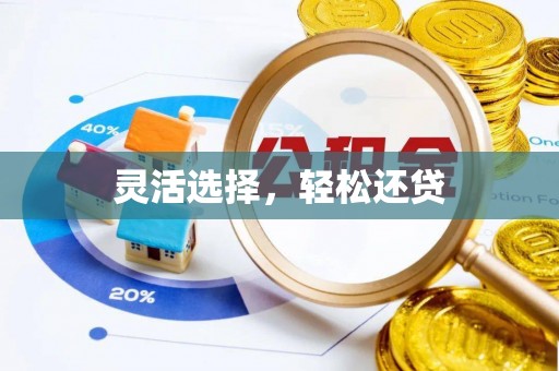 大通灵活选择，轻松还贷