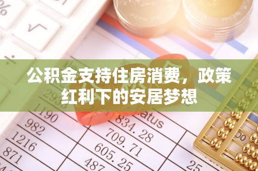 大通公积金支持住房消费，政策红利下的安居梦想