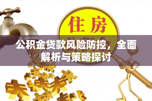 大通公积金贷款风险防控，全面解析与策略探讨