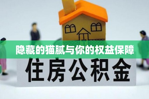 大通隐藏的猫腻与你的权益保障