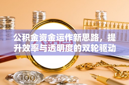 大通公积金资金运作新思路，提升效率与透明度的双轮驱动