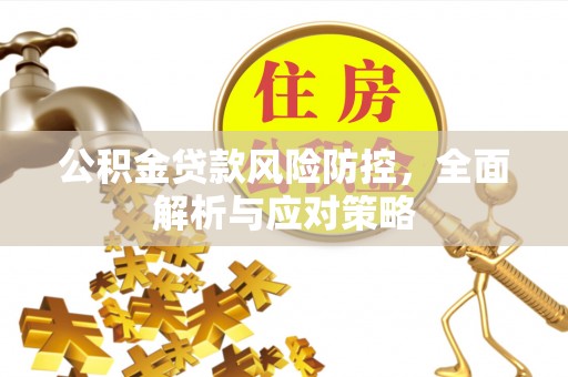 大通公积金贷款风险防控，全面解析与应对策略