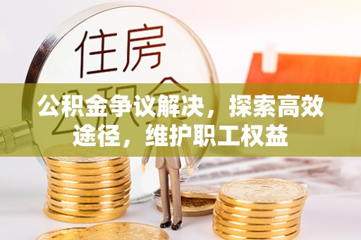 大通公积金争议解决，探索高效途径，维护职工权益