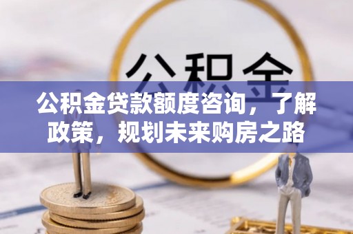 大通公积金贷款额度咨询，了解政策，规划未来购房之路