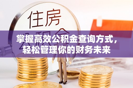 大通掌握高效公积金查询方式，轻松管理你的财务未来