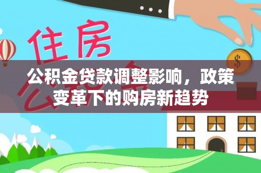 大通公积金贷款调整影响，政策变革下的购房新趋势