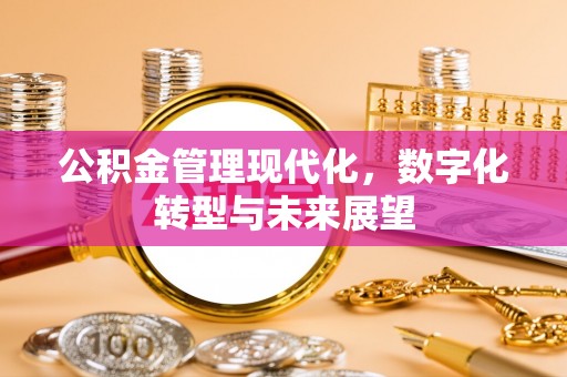 大通公积金管理现代化，数字化转型与未来展望
