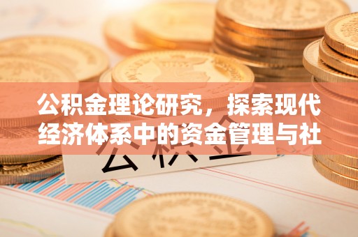 大通公积金理论研究，探索现代经济体系中的资金管理与社会福利