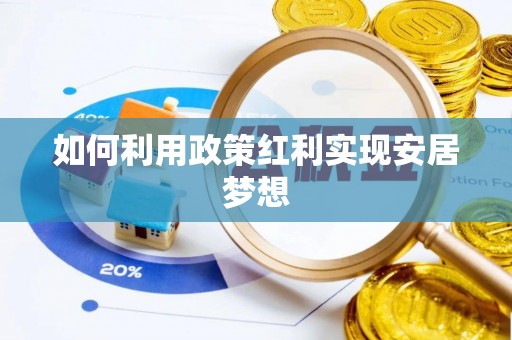 大通如何利用政策红利实现安居梦想