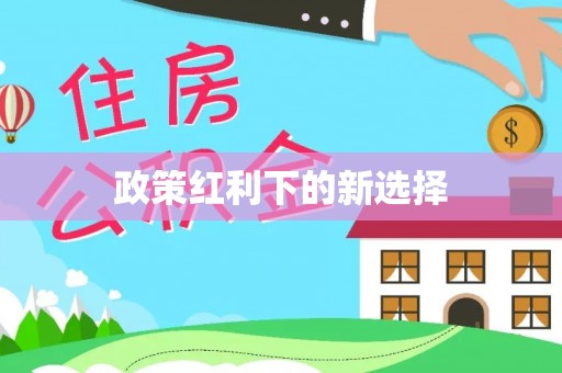大通政策红利下的新选择