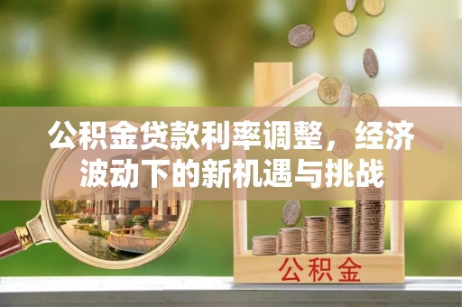 大通公积金贷款利率调整，经济波动下的新机遇与挑战