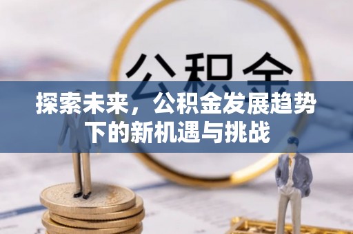 大通探索未来，公积金发展趋势下的新机遇与挑战