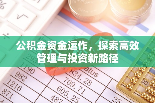大通公积金资金运作，探索高效管理与投资新路径