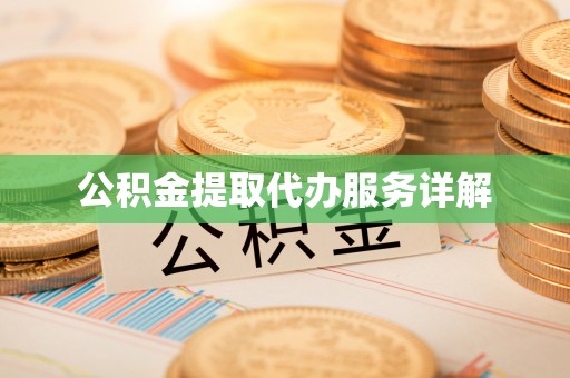 大通公积金提取代办服务详解