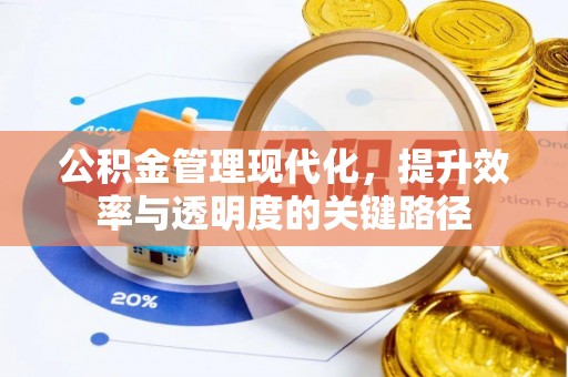 大通公积金管理现代化，提升效率与透明度的关键路径