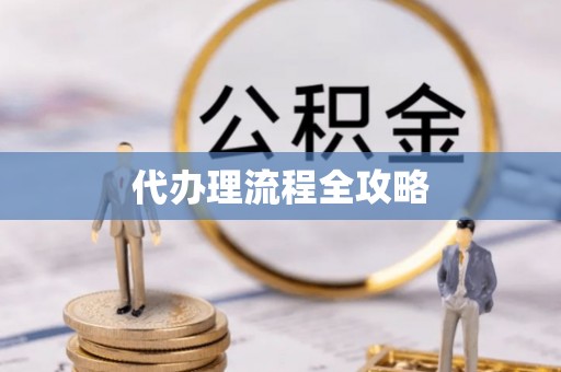 大通代办理流程全攻略