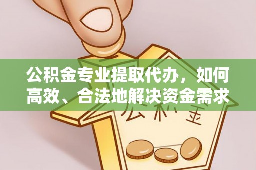 大通公积金专业提取代办，如何高效、合法地解决资金需求？
