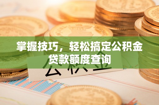 大通掌握技巧，轻松搞定公积金贷款额度查询