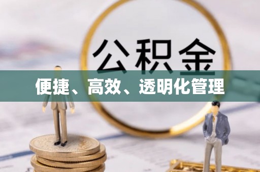 大通便捷、高效、透明化管理