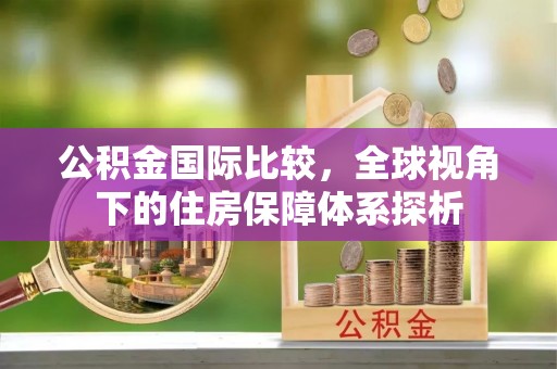 大通公积金国际比较，全球视角下的住房保障体系探析
