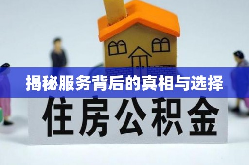 大通揭秘服务背后的真相与选择