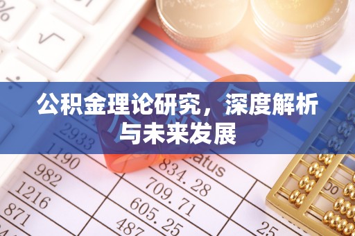 大通公积金理论研究，深度解析与未来发展