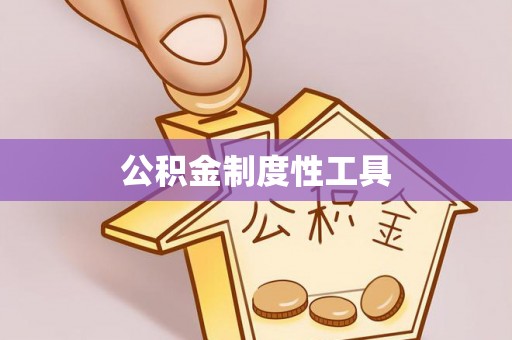 大通公积金制度性工具