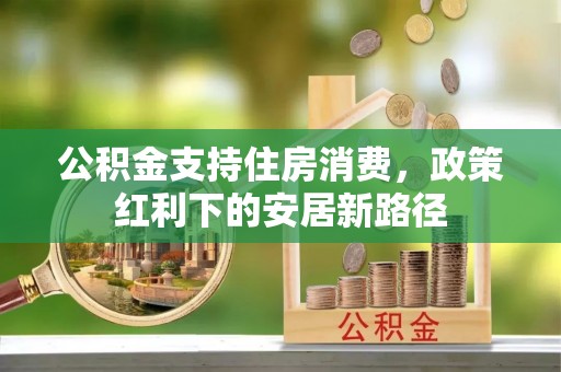 大通公积金支持住房消费，政策红利下的安居新路径