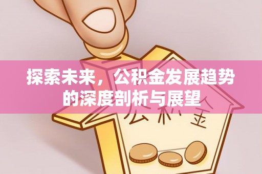大通探索未来，公积金发展趋势的深度剖析与展望