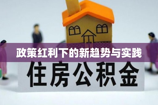 大通政策红利下的新趋势与实践