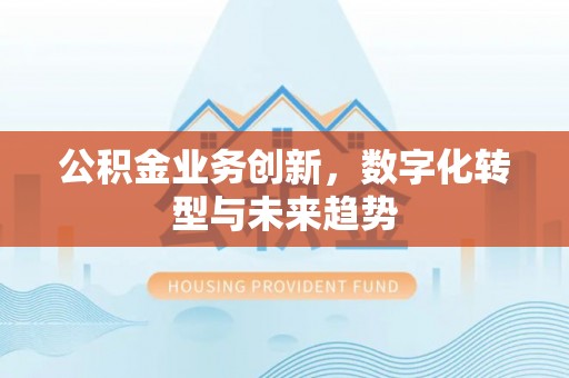 大通公积金业务创新，数字化转型与未来趋势