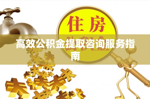 大通高效公积金提取咨询服务指南