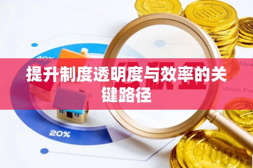 大通提升制度透明度与效率的关键路径