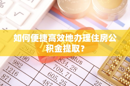 大通如何便捷高效地办理住房公积金提取？