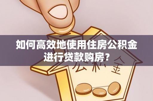 大通如何高效地使用住房公积金进行贷款购房？