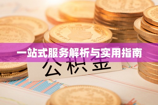 大通一站式服务解析与实用指南