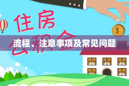 大通流程、注意事项及常见问题