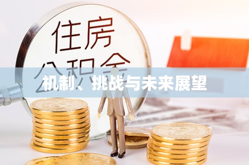 大通机制、挑战与未来展望